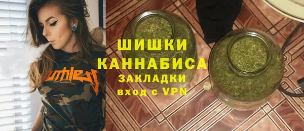 стаф Арсеньев